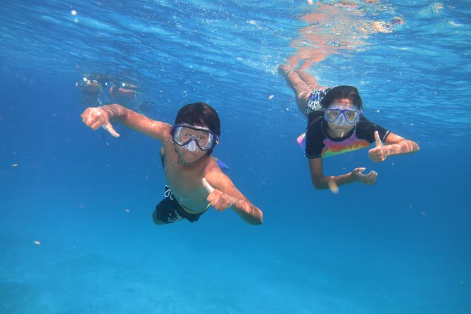 Catamaran Tour to Isla Mujeres all Included - Timing, language, and practical planning