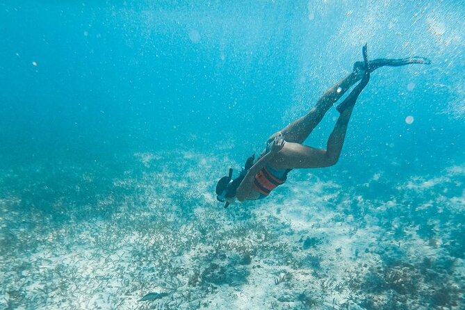 Catamaran Tour to Isla Mujeres Cancun - Practical ways to make the day better