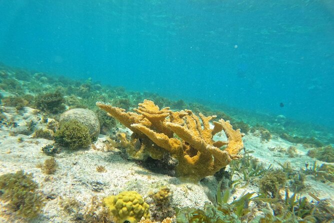 Catamaran with Snorkeling and North Beach, Isla Mujeres - Who will enjoy this outing most