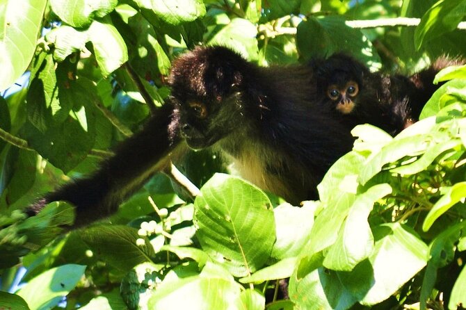 Cenote La Noria Tour + Jewelry Shopping Tour + Tequilera - Who will enjoy this day most