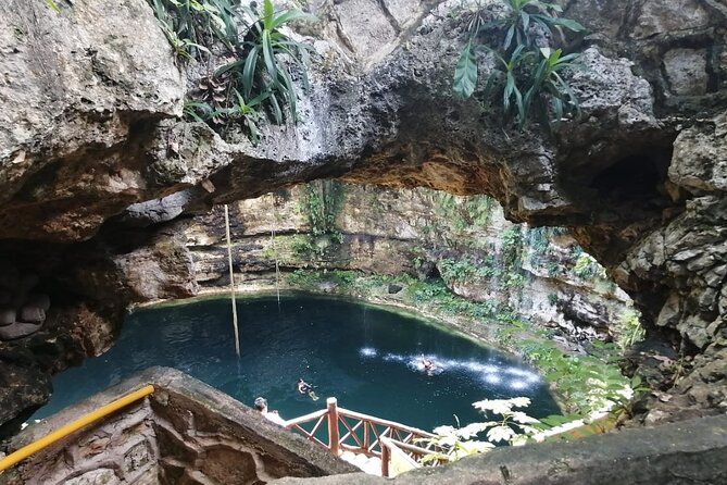 Chichen Itza Day Trip from Cancun with Cenote Swim & Valladolid - Cenote Samula and roots from the cavern roof