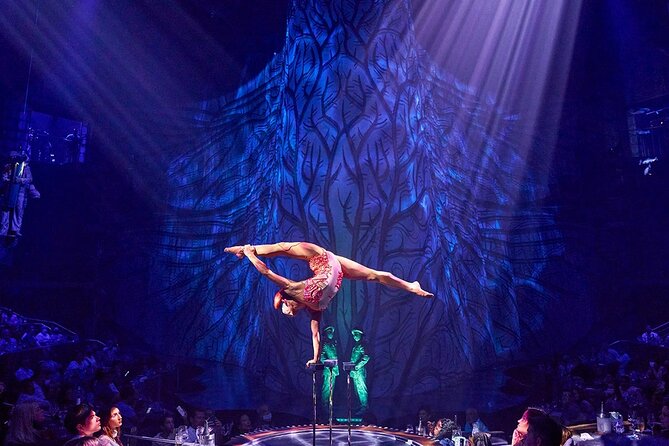 Cirque du Soleil JOYÀ Admission Tickets - What happens during the one-hour performance