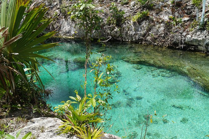 Coba, Tulum, Cenote and Mayan Village All Inclusive Tour - Group size, language, and the day’s pace