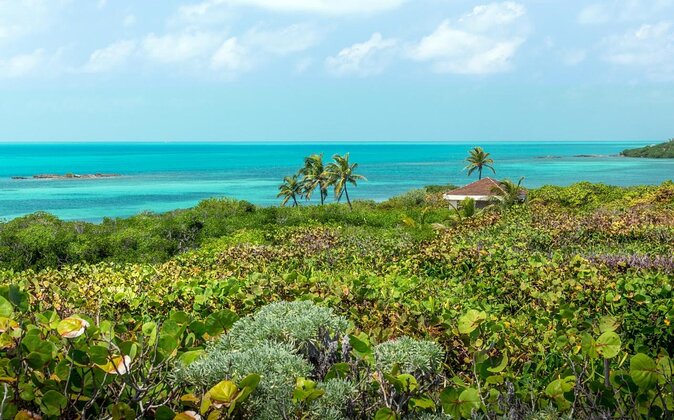 Contoy Caribbean Adventure! Round Transportation from Cancun - Quick takeaways before you book
