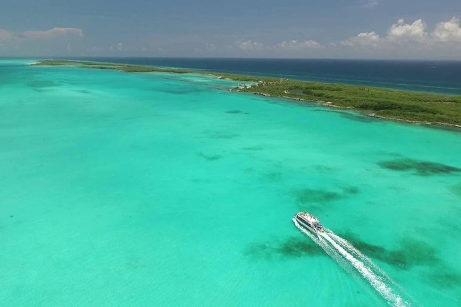 Contoy Caribbean Adventure! Round Transportation from Cancun - Snorkeling at Contoy Reef