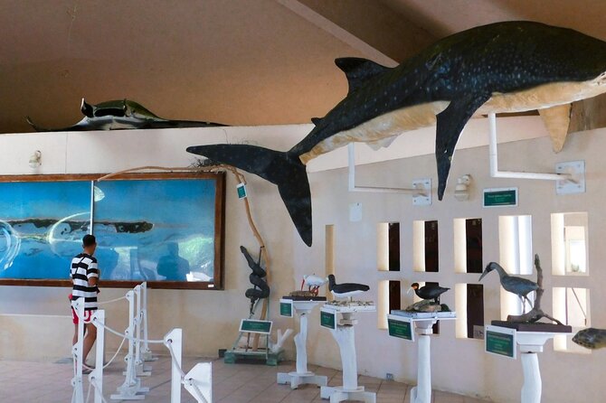 Contoy Island Tour from Cancun and Isla Mujeres with Snorkeling - Three Hours on a Protected Island