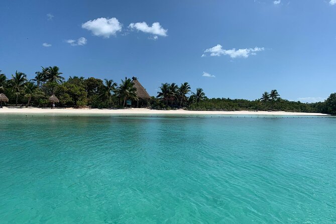 Contoy Island Tour from Cancun and Isla Mujeres with Snorkeling - Snorkeling Near Contoy, Weather Permitting