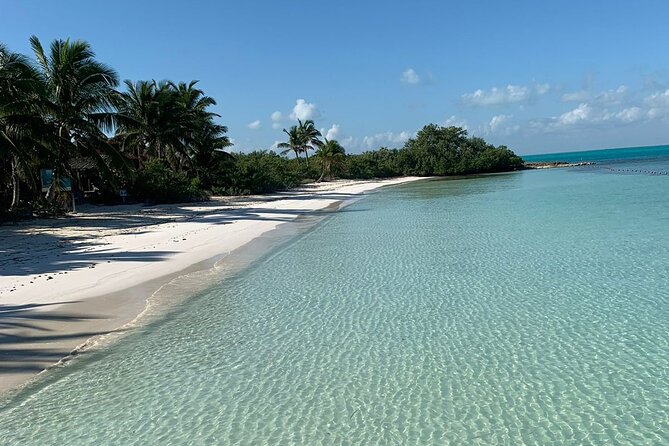 Contoy Island Tour from Cancun and Isla Mujeres with Snorkeling - What the $155.32 Price Really Covers