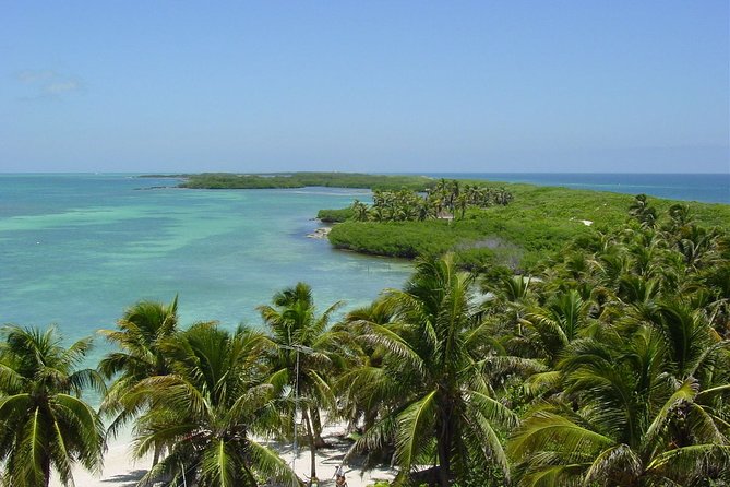 Contoy Island Tour from Playa del Carmen & Cancun - Why Isla Contoy makes this boat day different