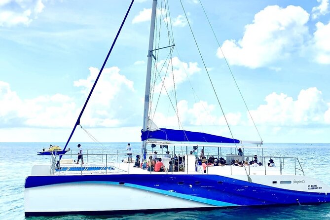 Contoy Island Tour from Playa del Carmen & Cancun - Four hours at Isla Contoy, including lunch