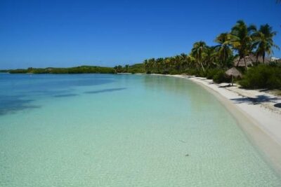 Contoy Island Tour from Playa del Carmen & Cancun