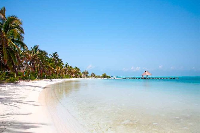 Contoy Island Tour from Playa del Carmen & Cancun - Practical packing and timing advice