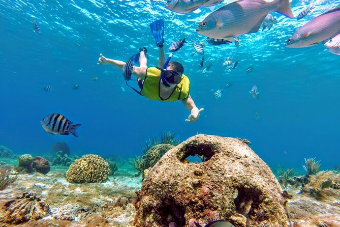 Cozumel by transparent boat and snorkeling in the sky with lunch. - Seeing the Seabed Through a Transparent Boat