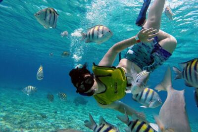 Cozumel by transparent boat and snorkeling in the sky with lunch.