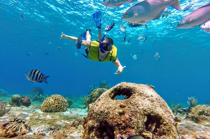 Cozumel by transparent boat and snorkeling in the sky with lunch. - A Short Snorkel at Lego Reefs