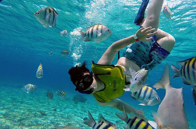 Cozumel by transparent boat and snorkeling in the sky with lunch. - Lunch Provides a Needed Midday Break