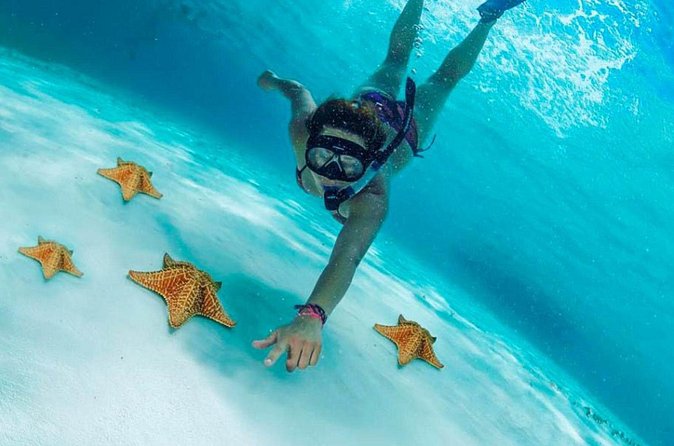 Cozumel by transparent boat and snorkeling in the sky with lunch. - Four Hours Around Colombia, Palancar, and El Cielo