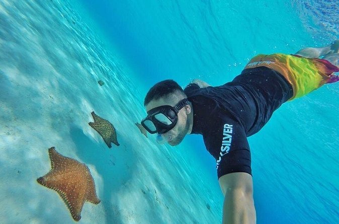 Cozumel by transparent boat and snorkeling in the sky with lunch. - Equipment, Swimming, and Personal Comfort
