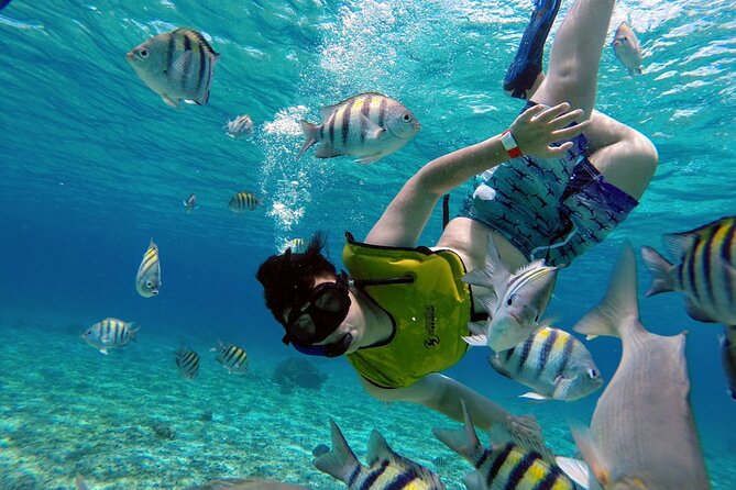 Cozumel by transparent boat and snorkeling in the sky with lunch. - Crossing From Playa del Carmen to Cozumel
