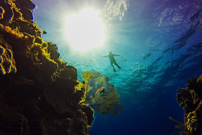 Cozumel Catamaran Snorkeling Tour & Lunch (Hotel Pick Up) - Is $163 a fair price for this Cozumel day trip?