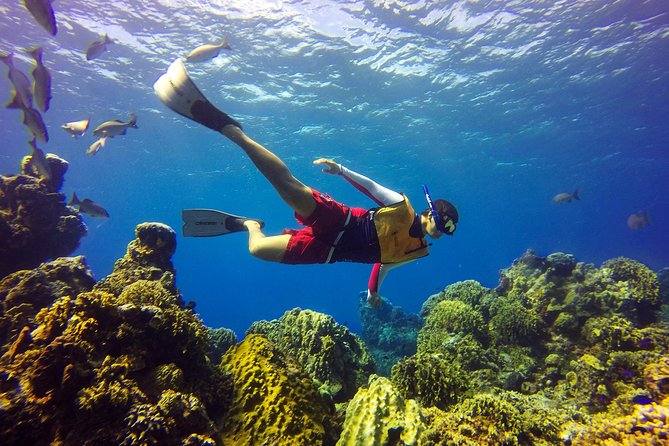 Cozumel Catamaran Snorkeling Tour & Lunch (Hotel Pick Up) - Should you book the Cozumel catamaran tour?