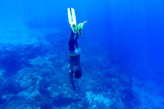 Cozumel Catamaran Snorkeling Tour & Lunch (Hotel Pick Up) - FAQ