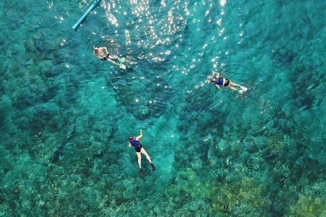 Cozumel El Cielo All Inclusive Tour from Cancun - Columbia Reef adds a glass-bottom view