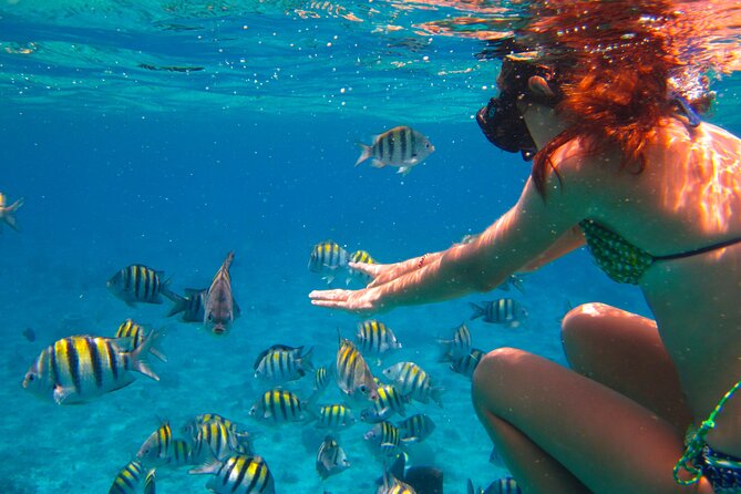 Cozumel El Cielo All Inclusive Tour from Cancun - San Miguel gives you two hours on land