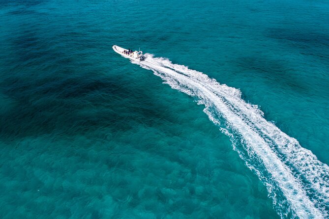 Cozumel Starfish and Tropical Reef Snorkeling by Powerboat with Lunch - Cozumel’s reefs are the main event