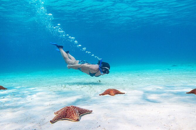 Cozumel Starfish and Tropical Reef Snorkeling by Powerboat with Lunch - Lunch on the boat keeps the schedule moving