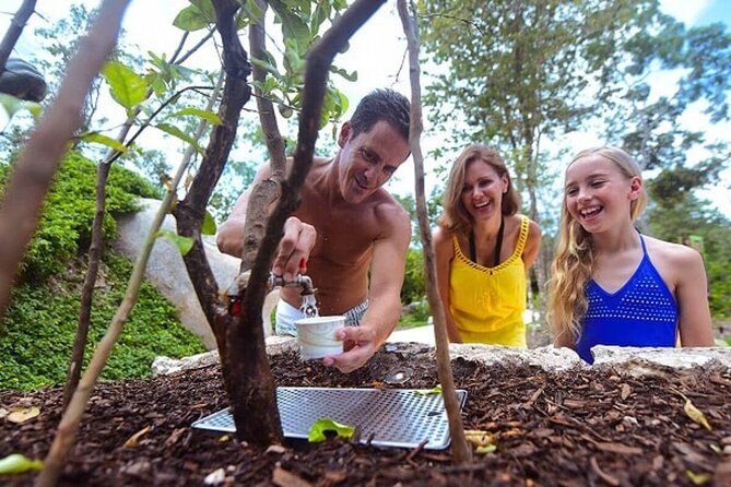 Day of wonder at Xenses! Round Transportation From Cancun - Flying like a bird on the zip line