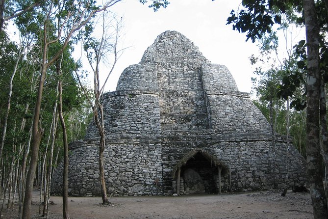 Day Trip to Tulum, Coba and Cenote Maya - Quinta Avenida and the final hour