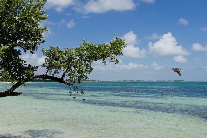 Deep into Nature at Sian Ka'an Biosphere! Round Transportation From Riviera Maya - Lunch at the restaurant