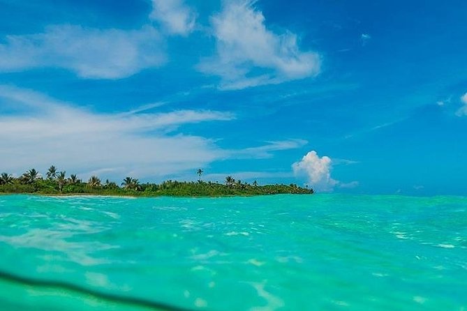 Deep into Nature at Sian Ka'an Biosphere! Round Transportation From Riviera Maya - The rough road to Punta Allen