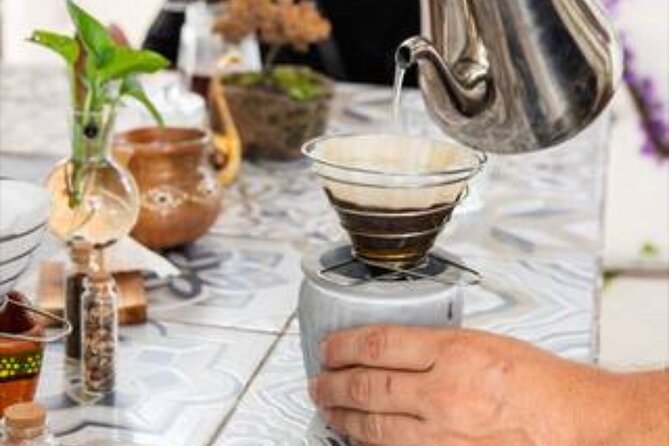 Del Grano al Cafe Learn how to roast grind and prepare coffe - Starting at Venado 10 in central Cancun