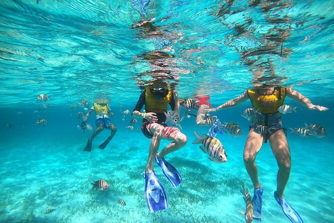 Deluxe Catamaran to Isla Mujeres with Open Bar from Cancun - Who Will Enjoy This Catamaran Day