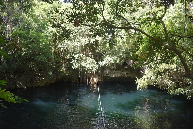 Discover 3 amazing cenotes. Includes transport & snack - The guides and driver matter here