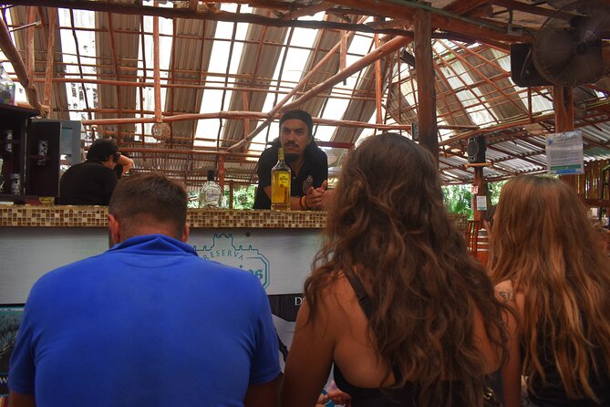 Discover 3 amazing cenotes. Includes transport & snack - Who should book this half-day outing?