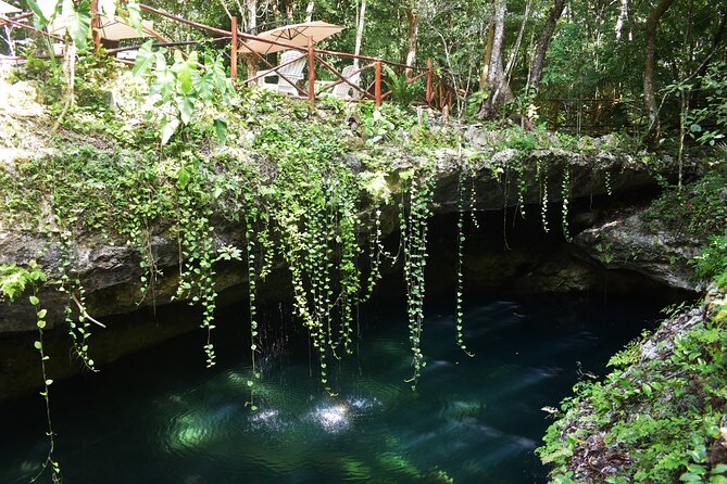 Discover 3 amazing cenotes. Includes transport & snack - What to pack for the cenotes