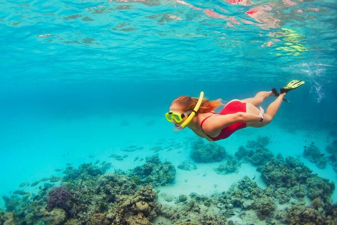 Discover Isla Contoy & Isla Mujeres: Nature, Snorkel & Beaches - The crew, safety, and group feel