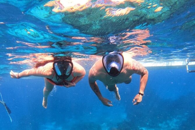 Discover Isla Contoy & Isla Mujeres: Nature, Snorkel & Beaches - What the $140 price really covers