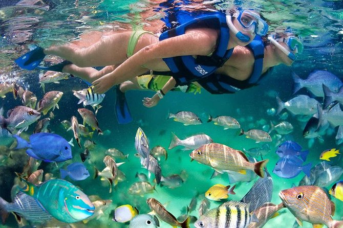 Discover Isla Mujeres tour with snorkel, buffet and open bar - The crew and the shared-boat atmosphere