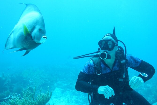 Discover Scuba - Why the instructors matter for first-timers