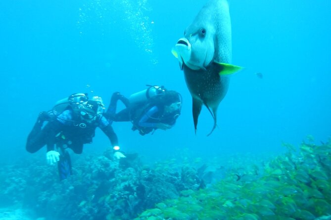 Discover Scuba - Who should book this Puerto Morelos experience?