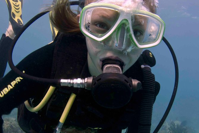 Discover Scuba Diving - One Tank at Coral Reef - Boarding the boat for one reef tank