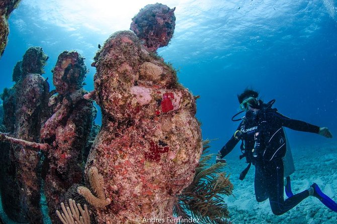 Discover scuba ,MUSA and Manchones reef dive without license - The Underwater Museum at about 30 feet