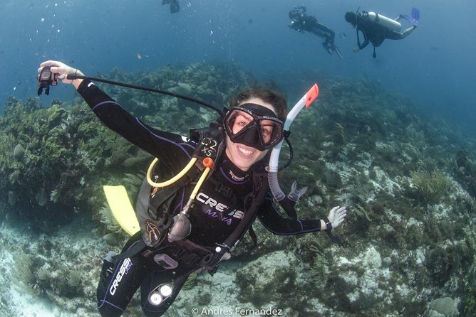 Discover scuba ,MUSA and Manchones reef dive without license - Learning the basics before open water