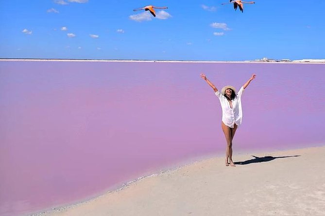 Discover the FABULOUS PINK WATERS in the Caribean - Rio Lagartos by boat, mangroves, birds, and crocodiles