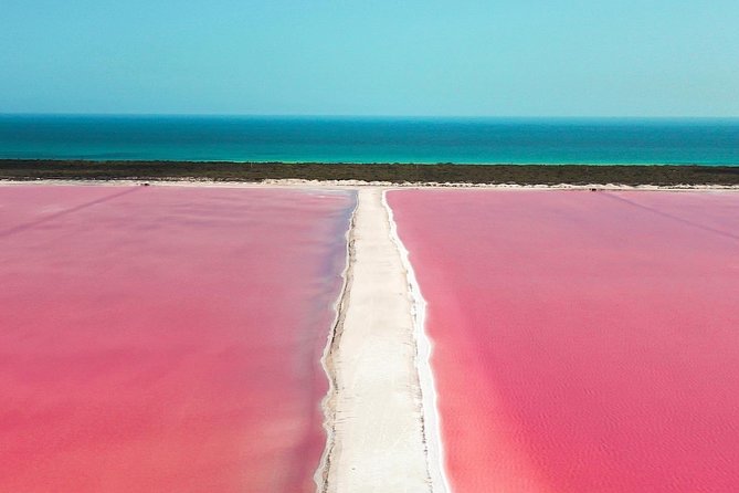 Discover the FABULOUS PINK WATERS in the Caribean - A regional lunch in a fishing community