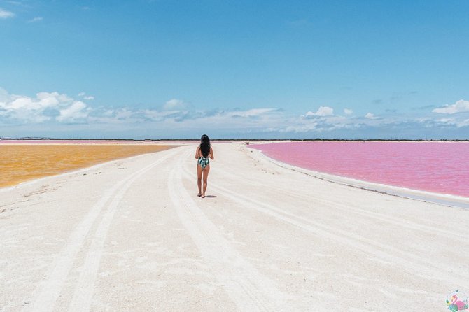 Discover the FABULOUS PINK WATERS in the Caribean - The crocodile farm raises a real ethical question